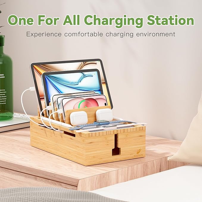 Pezin & Hulin Bamboo Charging Station