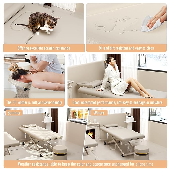 Heavy Duty Electric Massage Table, Electric Lift and Electric Backrest 2 Motor