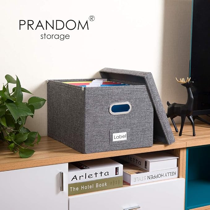 PRANDOM File Organizer Box (Set of 4)