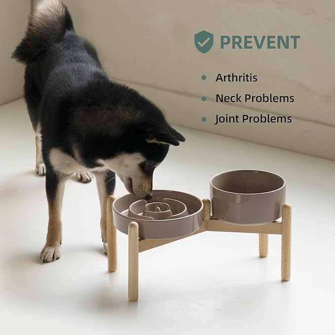 Ceramic 1.2 Cup Raised Slow Feeder Dog Bowl Set, Elevated 6.1inch Bowl and