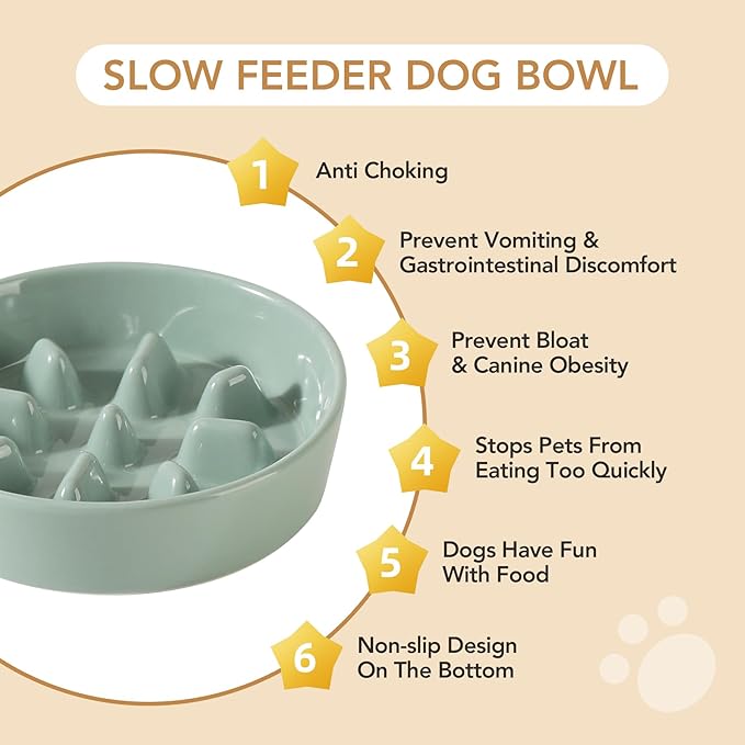 Ceramic 1.2 Cup Raised Slow Feeder Dog Bowl Set, Elevated 6.1inch Bowl and
