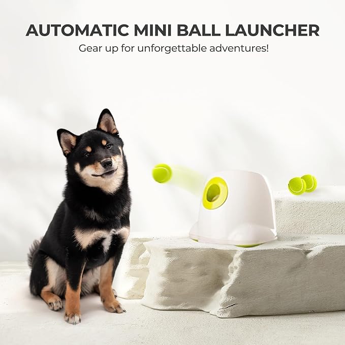 ALL FOR PAWS Automatic Ball Launcher for Dogs Interactive Puppy Pet Ball Indoor (3 Pcs)