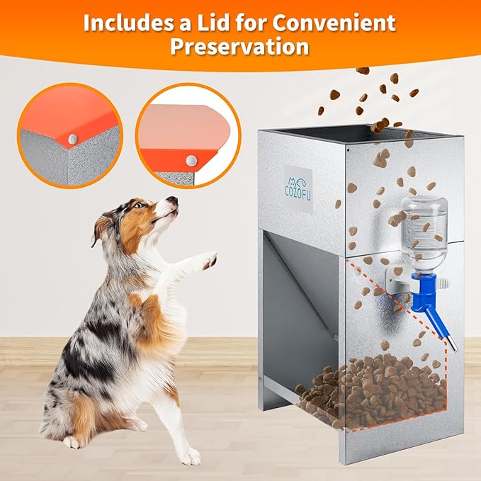 Automatic Gravity-Fed Dog Feeder