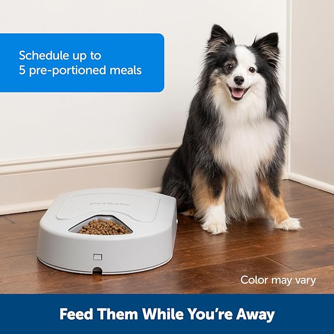PetSafe Automatic Dog Feeder, 5 Meals, 40 oz Capacity, (Pack of 2)