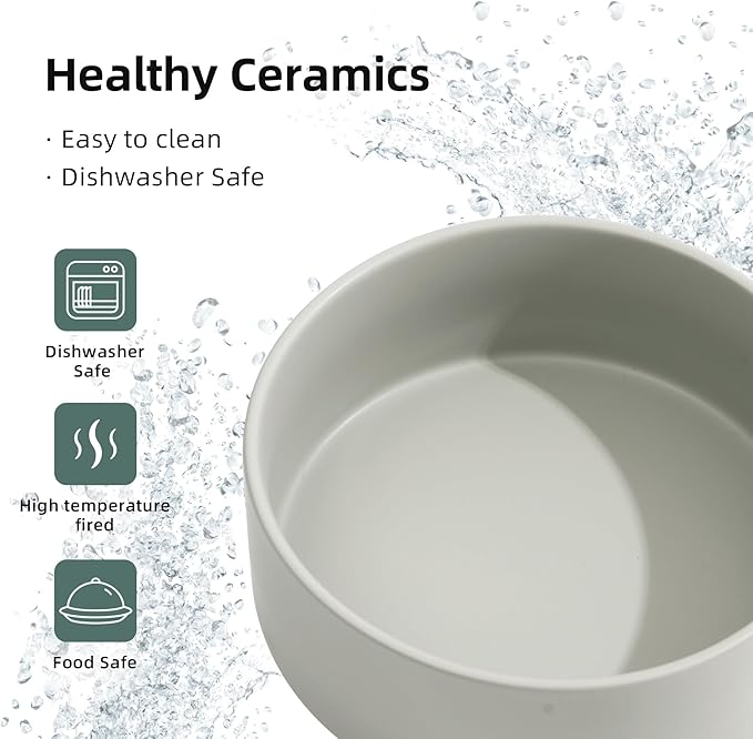 Ceramic Raised Dog Bowl Set, Elevated