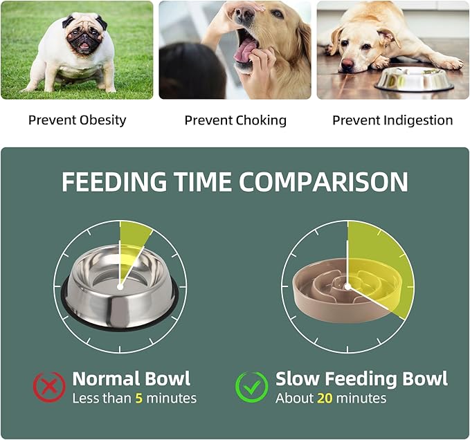 Ceramic 1.2 Cup Raised Slow Feeder Dog Bowl Set, Elevated 6.1inch Bowl and