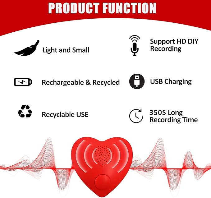 Voice Recorder, XLW 350s Voice Box