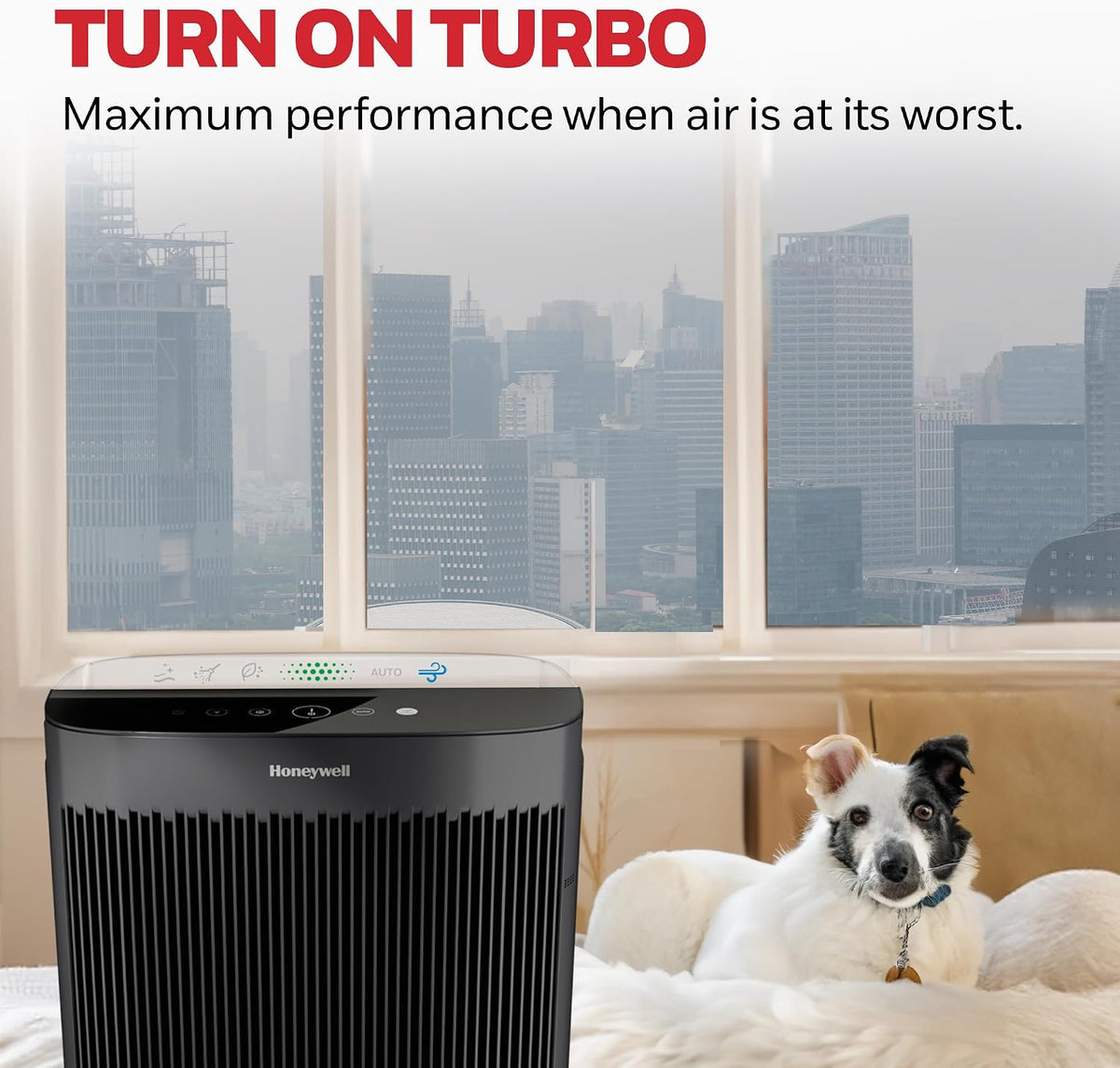 Honeywell HEPA Air Purifier for Home and Large 1700 ft² Rooms, Black