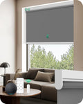 Allesin Motorized Roller Blinds