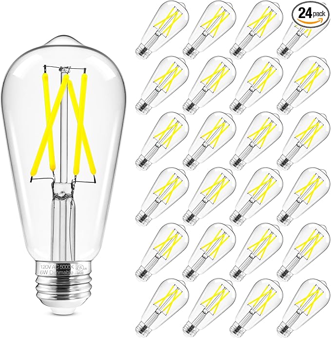 Hizashi Vintage LED Light Bulb Dimmable, 6W Equivalent 60W, 5000k Daylight (24 Pack)