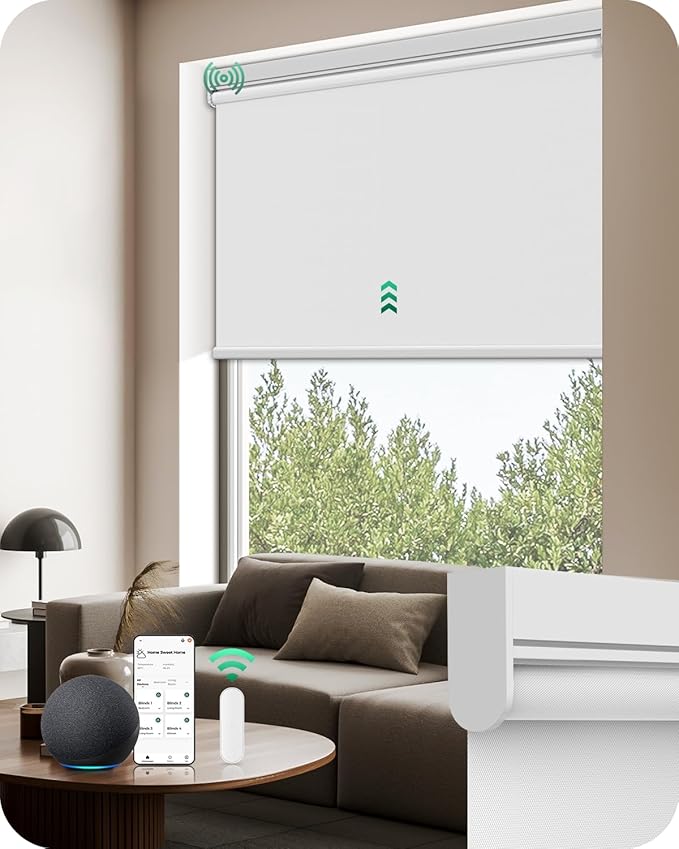Allesin Motorized Roller Blinds
