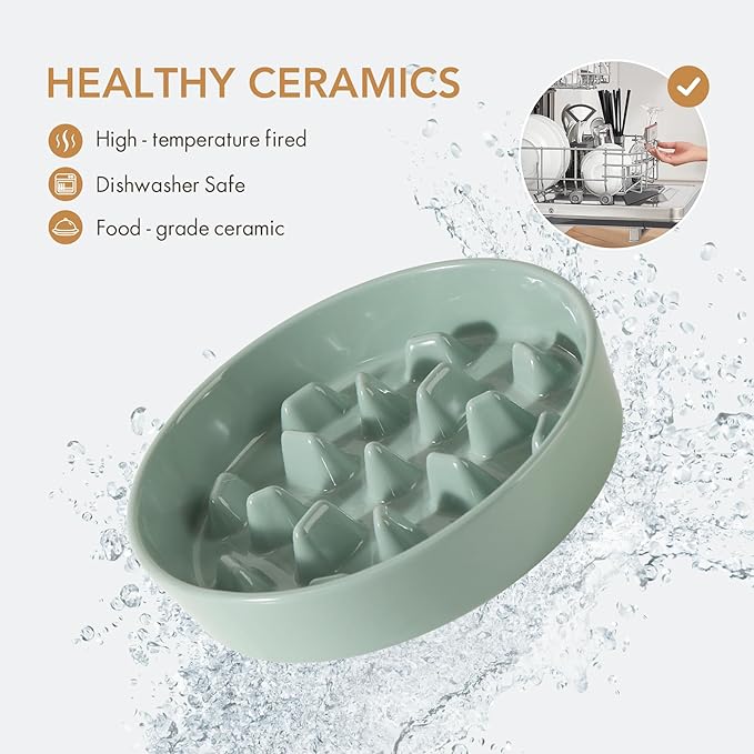 Ceramic 3.2 Cup Dog Bowl Slow Feeder, 9.5 inch Slow Pet Food Dish