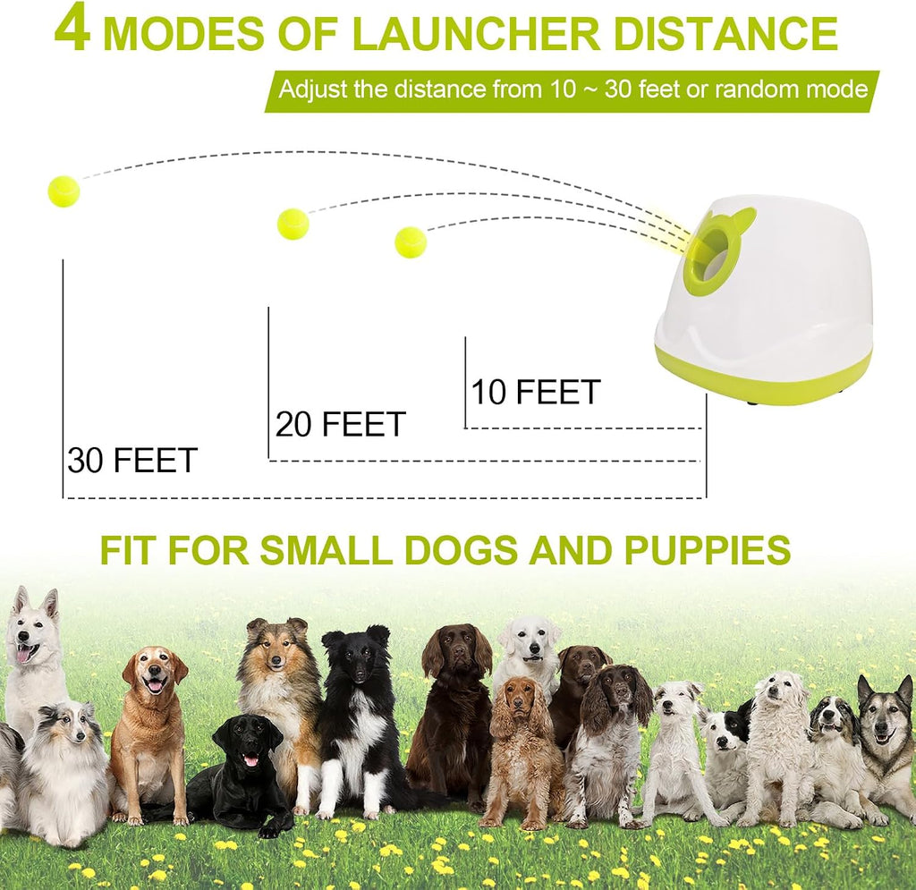 BESTHLS Automatic Dog Ball Launcher Tennis Ball Thrower Machine with 6 Ball