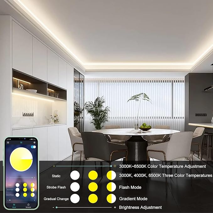 20ft COB LED Strip Lights