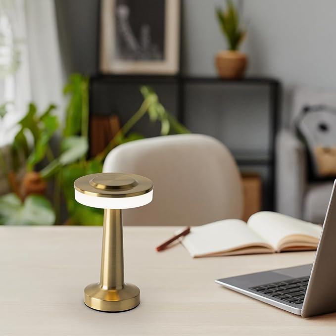 Radiance LED Cordless USB-C Re-Chargeable Desk Lamp, 5200mAh Battery Operated