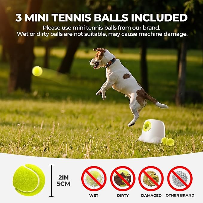 ALL FOR PAWS Automatic Ball Launcher for Dogs Interactive Puppy Pet Ball Indoor (3 Pcs)