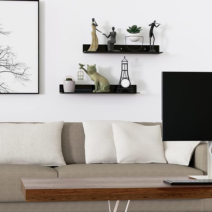 24 Inches Acrylic Wall Shelves 2 Pack, Floating Shelf