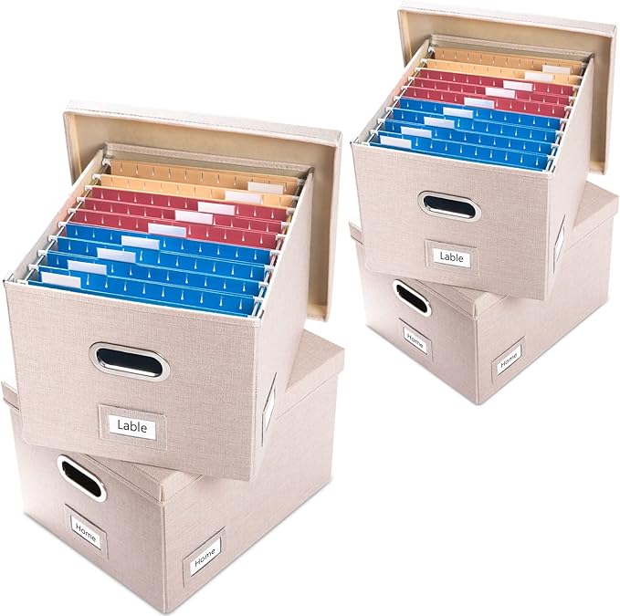 PRANDOM File Organizer Box (Set of 4)