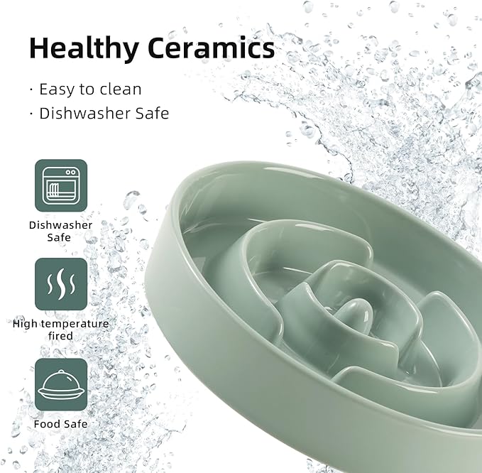 Ceramic 3.2 Cup Slow Feeder Dog Bowl