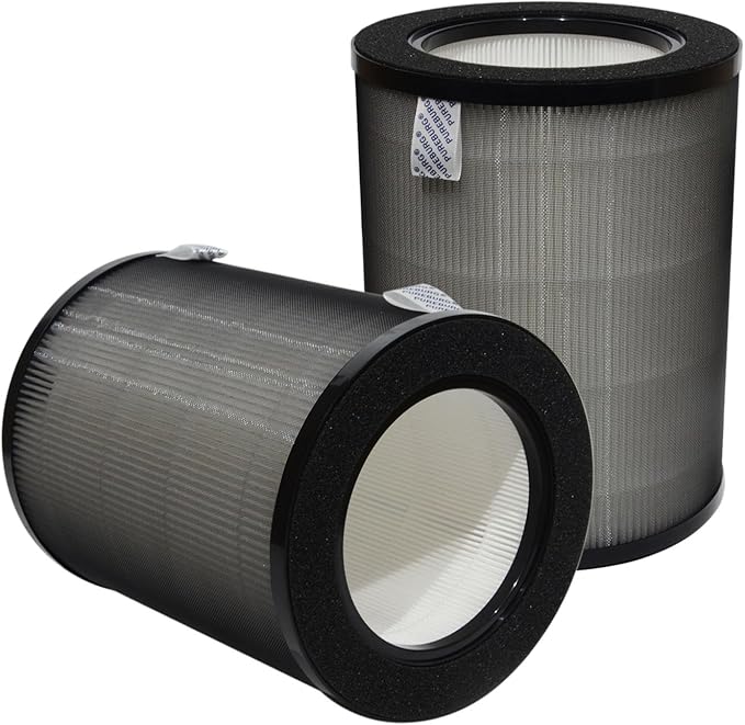 PUREBURG DR-HPA019 Replacement Filter Compatible (2-Pack)