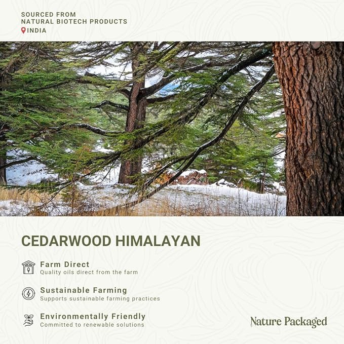 Cedarwood Himalayan Essential Oil