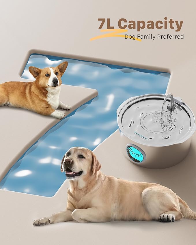 Dog Water Fountain for Large Dogs: Big Cat Water Fountain Stainless Steel