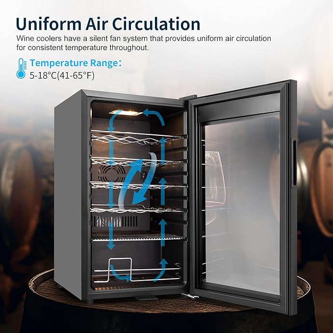 24 Bottles Wine Cooler Refrigerator, Small Wine Fridge Mini Wine Fridge