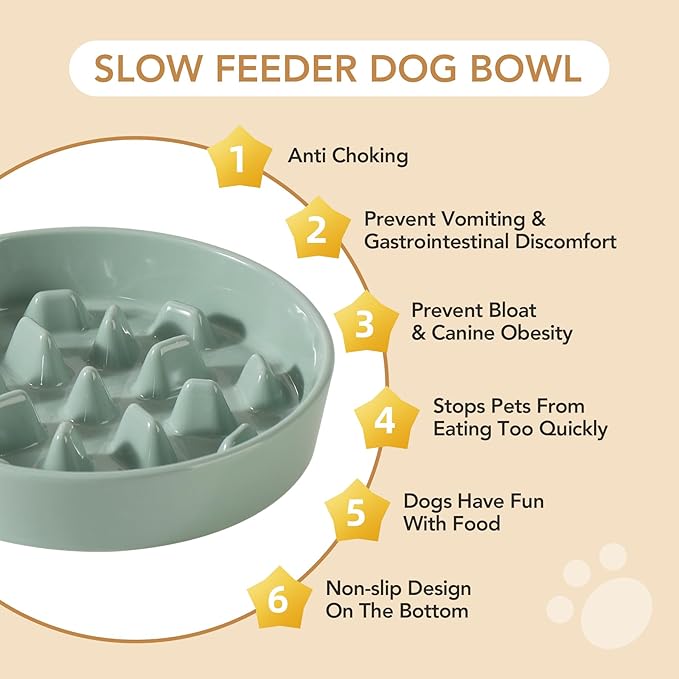 Ceramic 3.2 Cup Dog Bowl Slow Feeder, 9.5 inch Slow Pet Food Dish