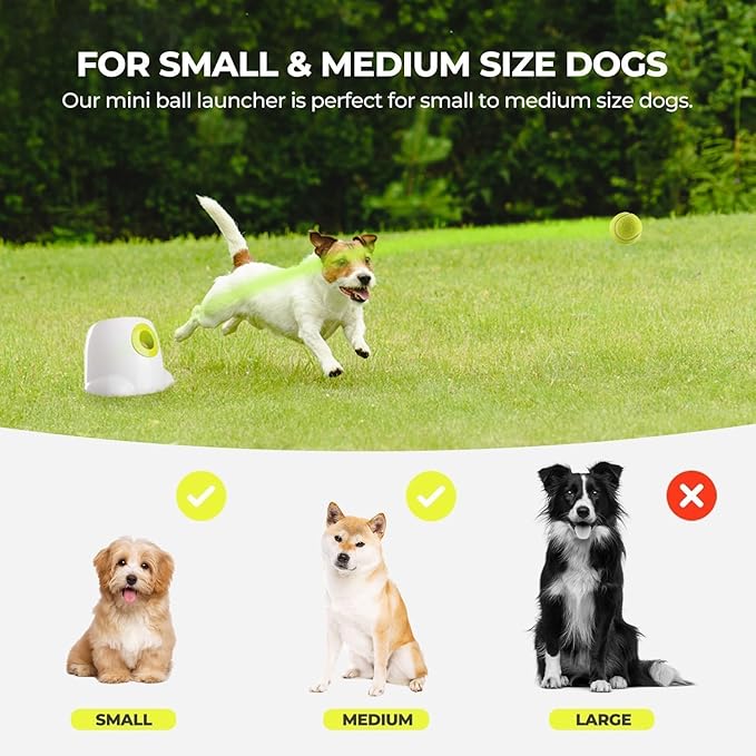 ALL FOR PAWS Automatic Ball Launcher for Dogs Interactive Puppy Pet Ball Indoor (3 Pcs)