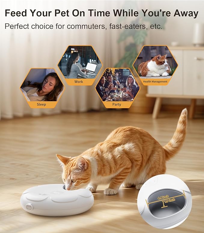 Casfuy Automatic Cat Feeder Cordless