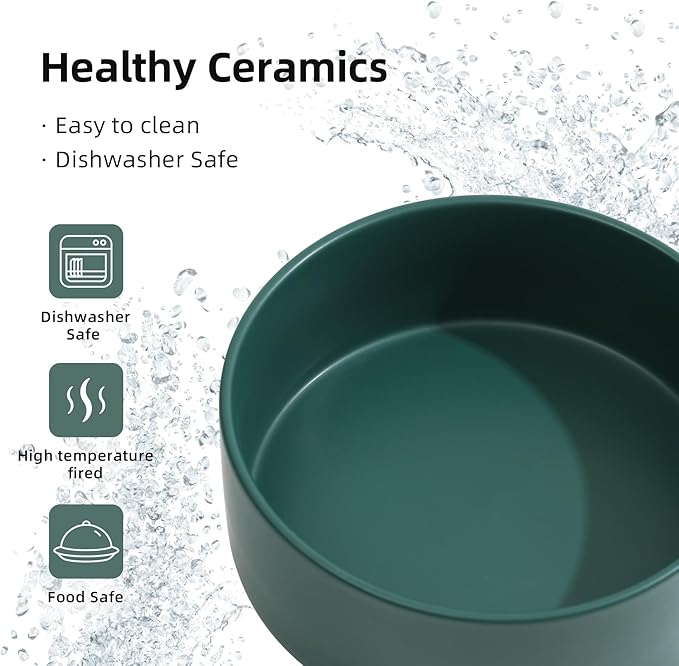 Ceramic Raised Double Bowls Set
