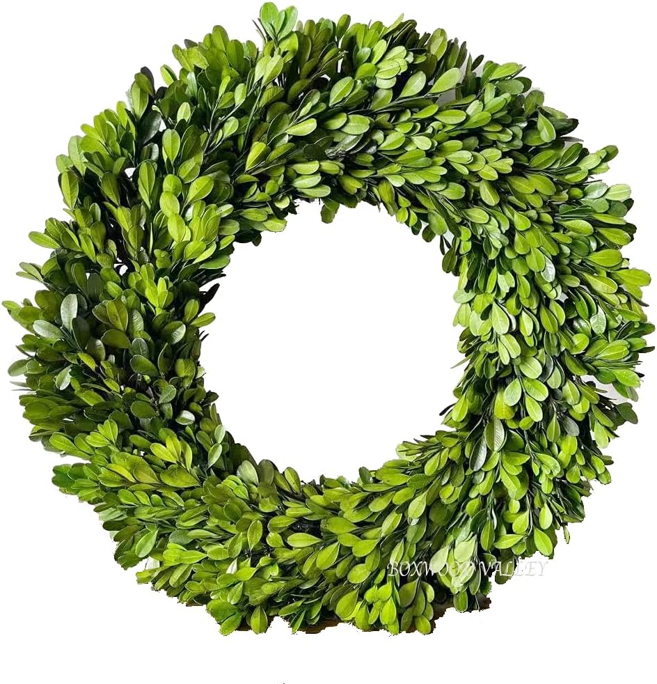 Preserved Boxwood Wreath, 11 Inches, Green Wreath for All Seasons Indoor Use Suits for Wedding, Christmas, Halloween, Valentine's Day