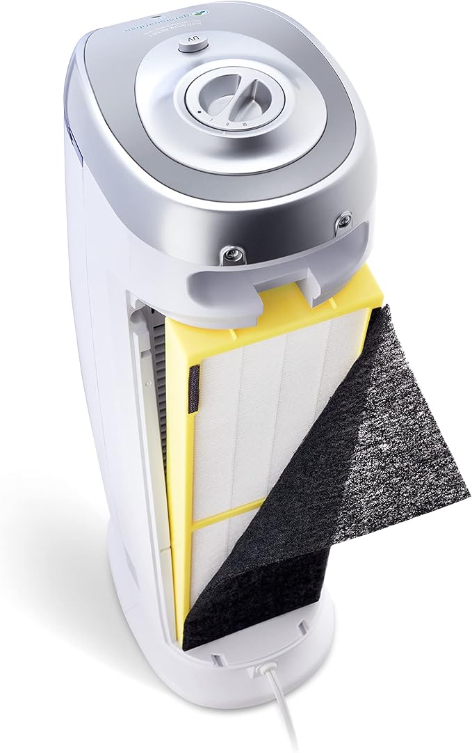 GermGuardian Air Purifier with HEPA 13 Filter, Removes 99.97% of Pollutants (2-Pack)
