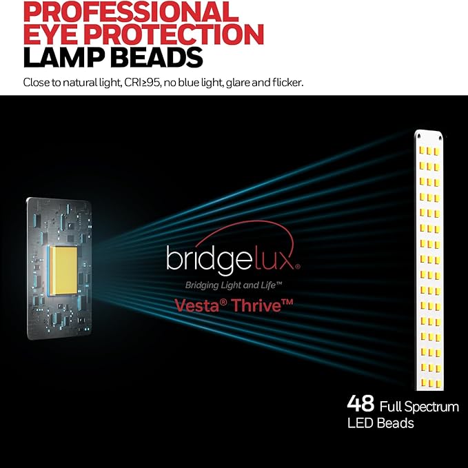 Honeywell Upgraded LED Desk Lamp