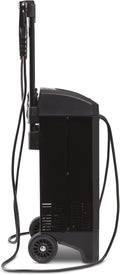 DieHard 71341 6/12V Gold Smart Wheel Battery Charger and 50/250A Maintainer