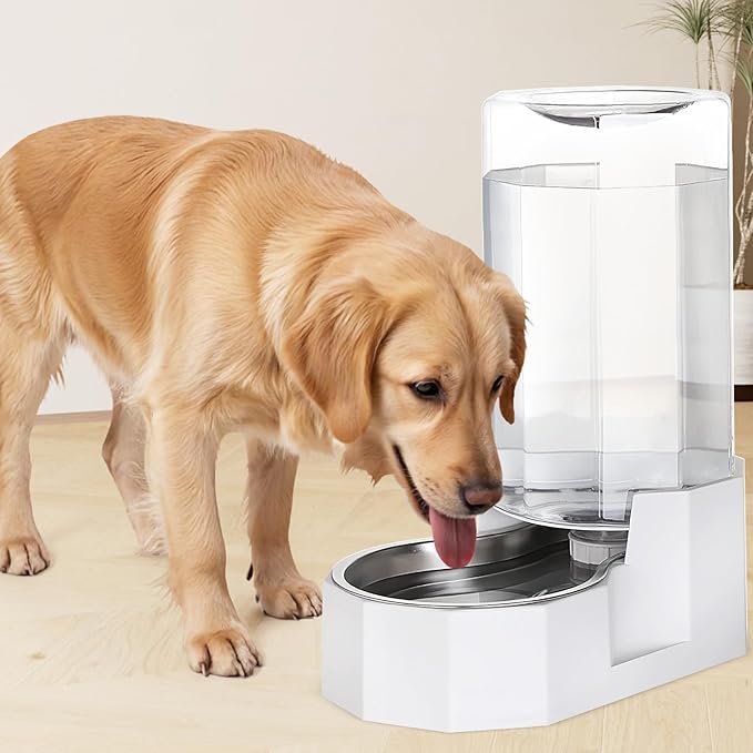 Sfozstra Automatic Pet Water Dispenser: 8L White Gravity Stainless Steel Water