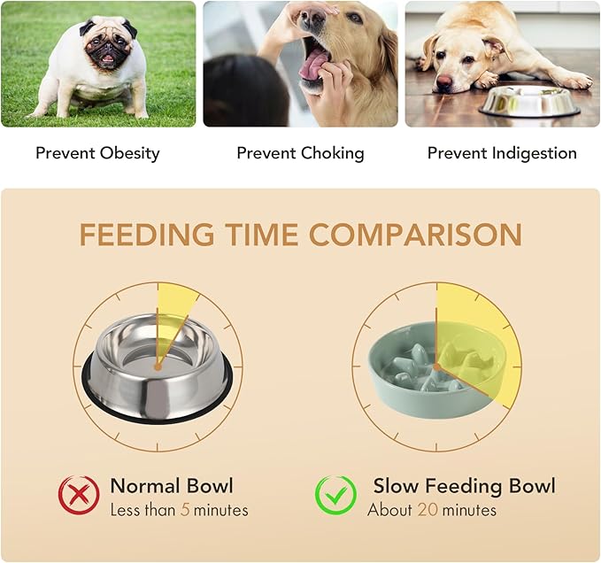 Ceramic 1.2 Cup Raised Slow Feeder Dog Bowl Set, Elevated 6.1inch Bowl and