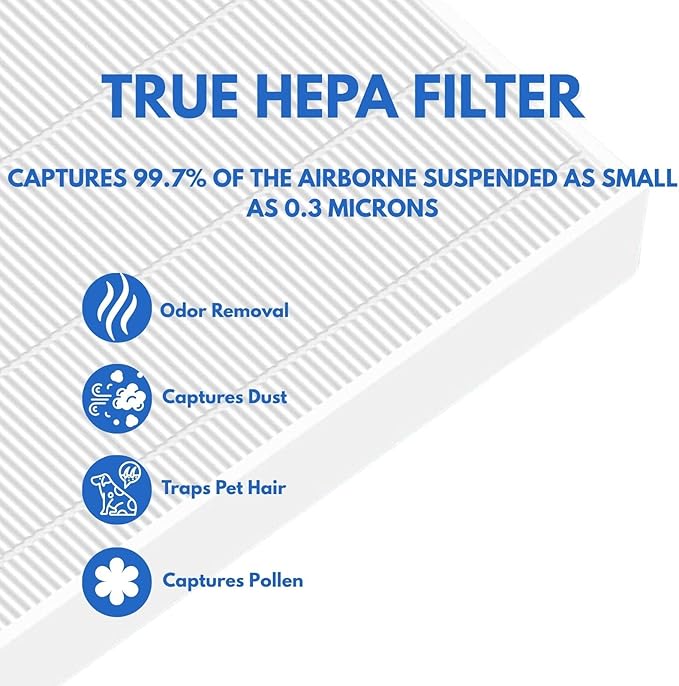Nispira True HEPA Filter Replacement Set Compatible