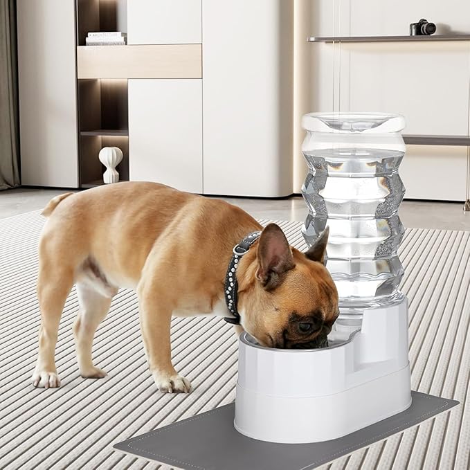 RIZZARI Large Water Dispenser for Dogs: 9L Automatic Stainless Steel Gravity