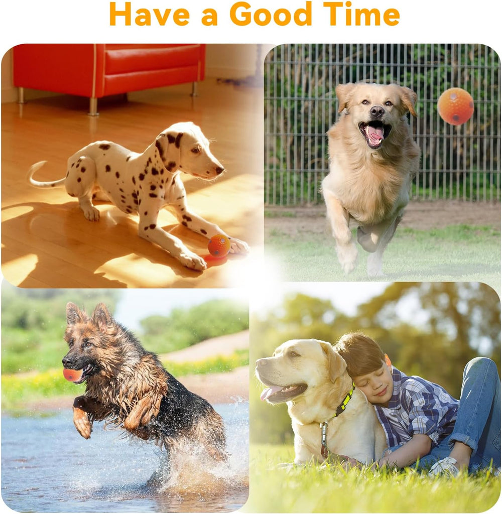 ptlsy Automatic Dog Ball Launcher Interactive Puppy Pet Ball Indoor Thrower M...