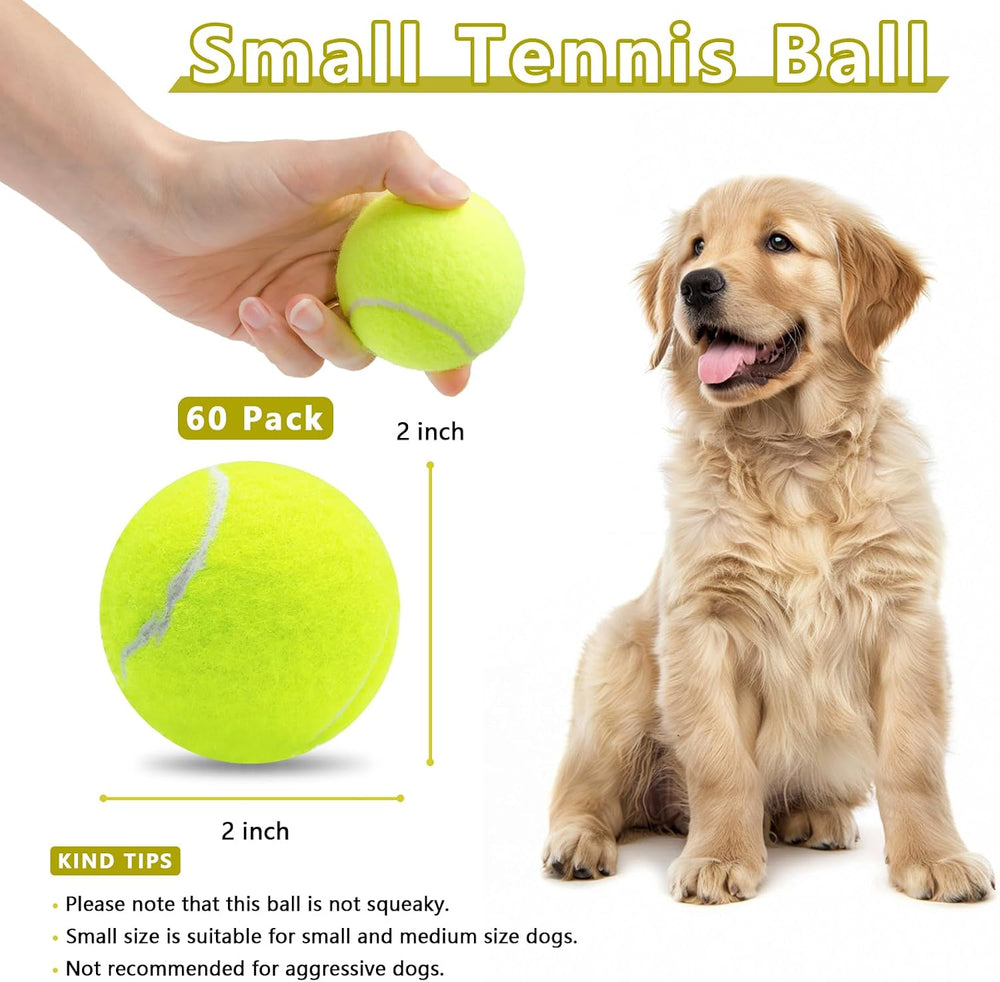 Magicorange Small Tennis Balls, 60 Pack 2 inch Tennis Balls for Dogs