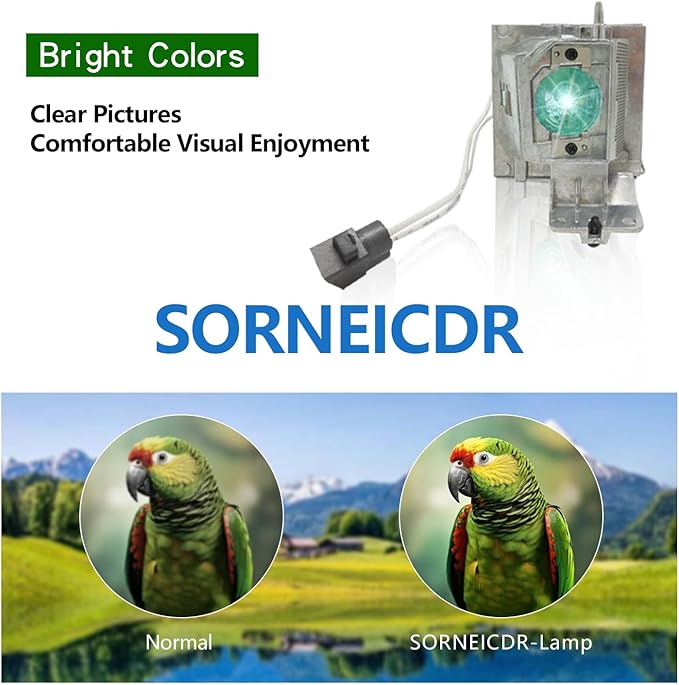SORNEICDR Replacement Projector Lamp Bulb NP36LP BL-FP190E/FP190D MC.JH111.001