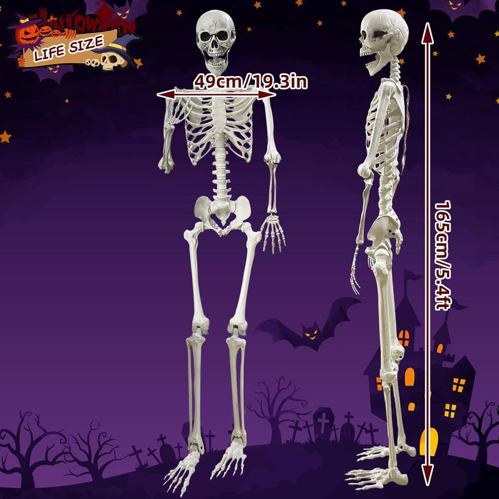 Lodou 5.4Ft Posable Life Size Human Skeleton for Halloween Decoration