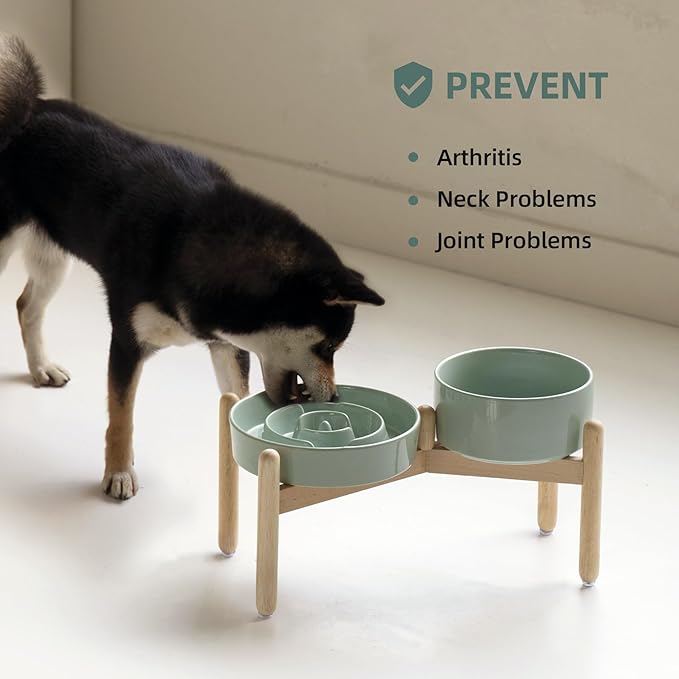 Ceramic Raised Slow Feeder Dog Bowl Set, Elevated 7.3inch Bowl and 8.2inch