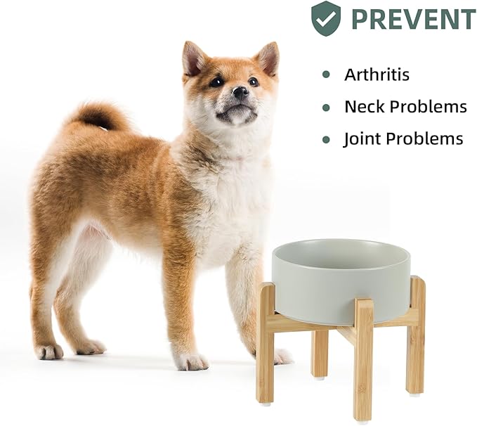 Ceramic Raised Dog Bowl Set, Elevated