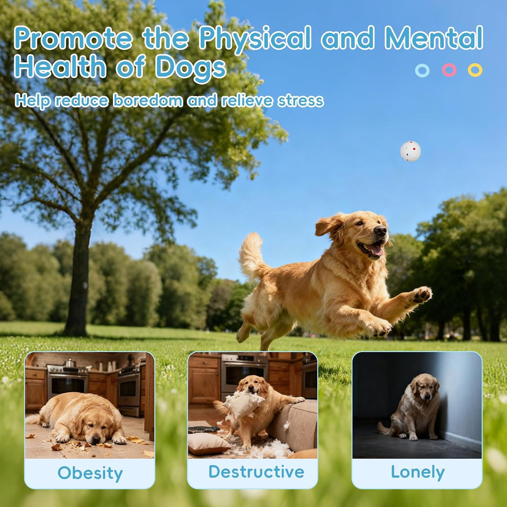 fahkns automatic ball launcher for large dogs: 40/60/80ft shown in use