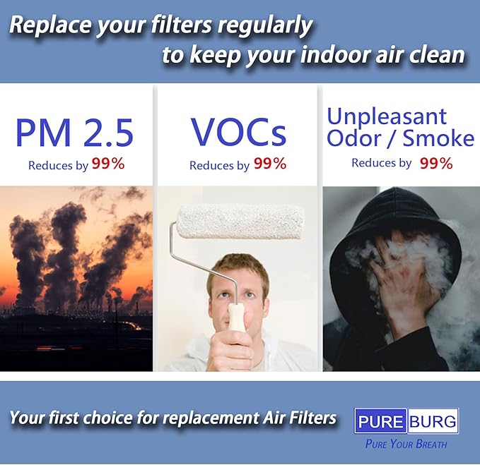 PUREBURG DR-HPA019 Replacement Filter Compatible (2-Pack)