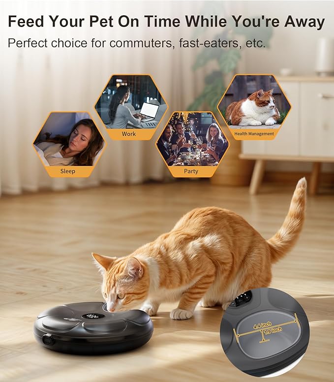 Casfuy Automatic Cat Feeder Cordless