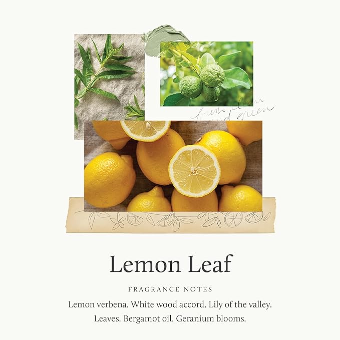 Thymes Pura Refills – 2 Pack of Oil Diffuser Scents – Long-Lasting Pura