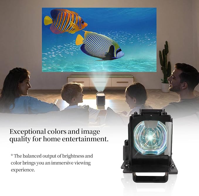 SORNEICDR 915B441001 Replacement Projector Lamp Bulb Compatible
